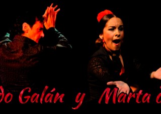 curso-fernando-galan-marta-troya