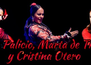 curso-flamenco-jerez